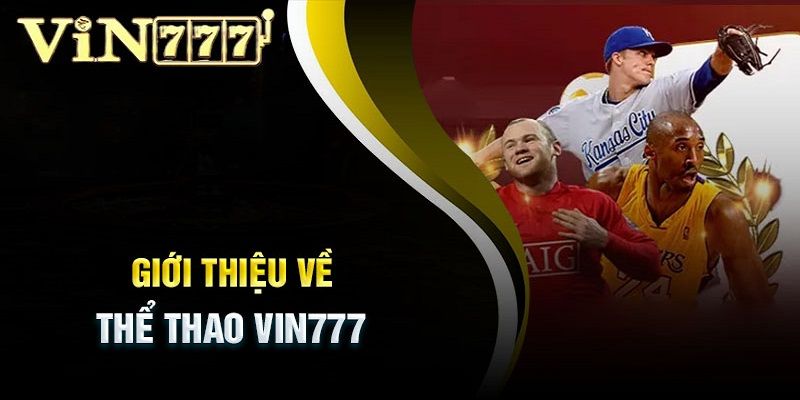 Thể thao VIN777 cập nhật đa dạng bộ môn săn thưởng