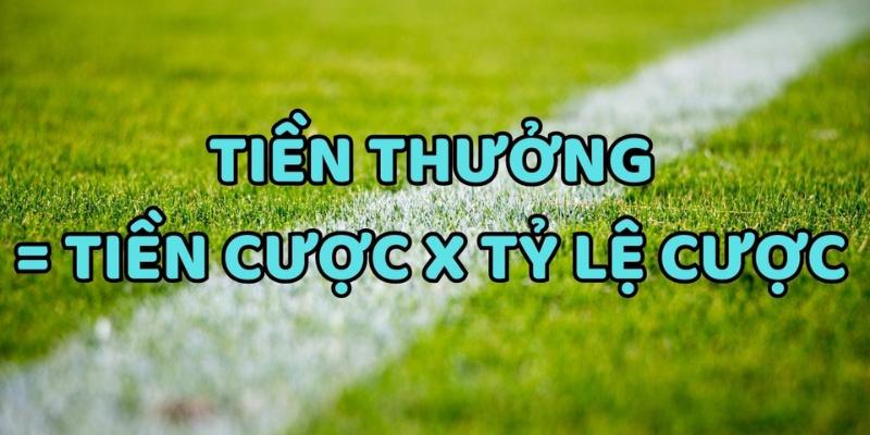 Tài Xỉu 1.75 là gì? Cách đọc kèo và mẹo chơi hiệu quả