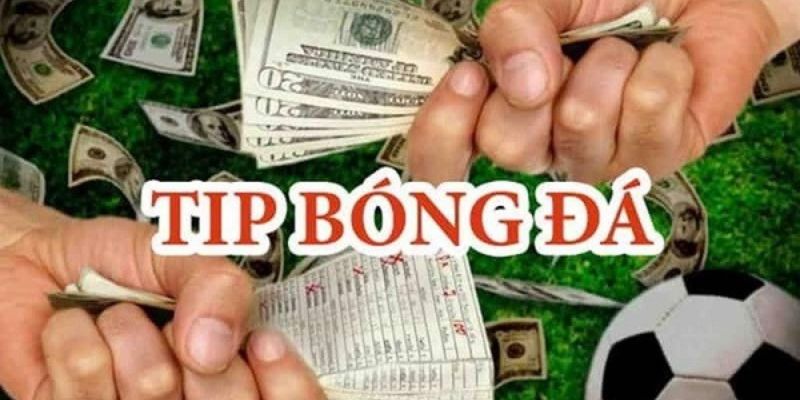 Tips bóng đá lừa đảo: Những dấu hiệu cần biết để bảo vệ túi tiền